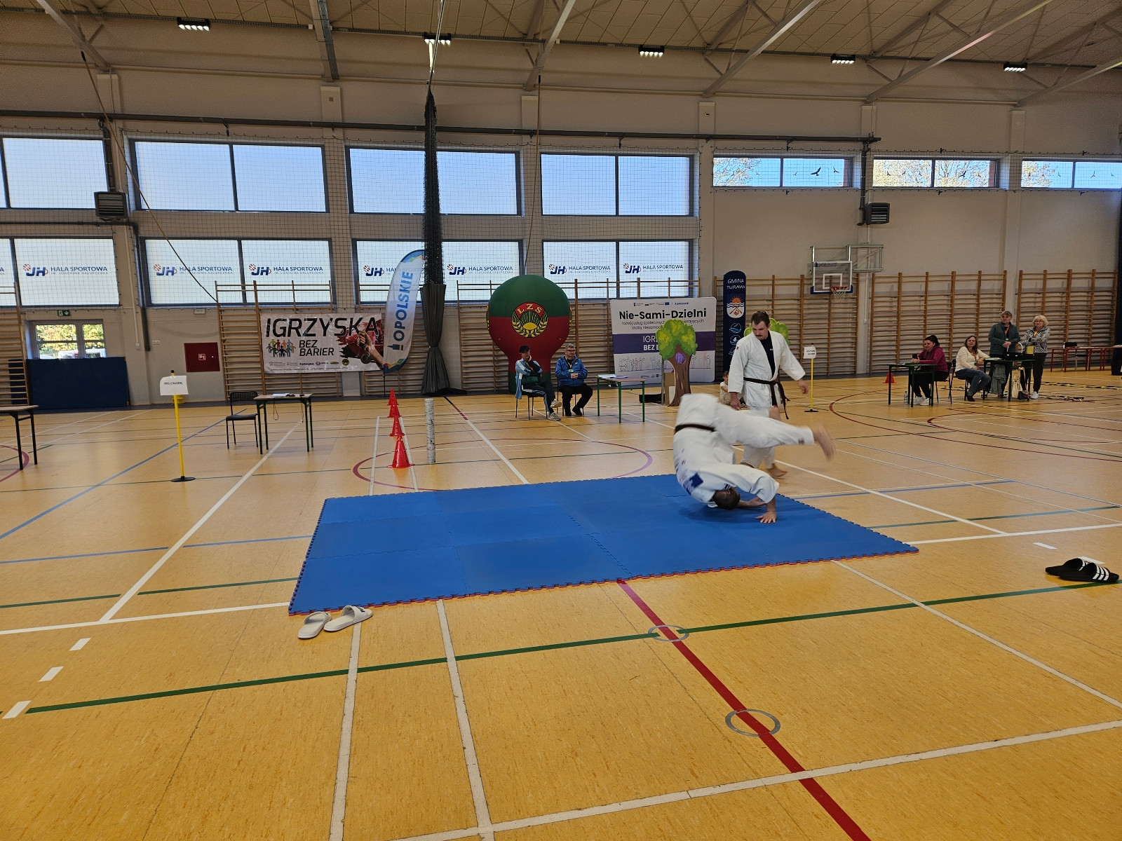 20241016_110443 (Copy)