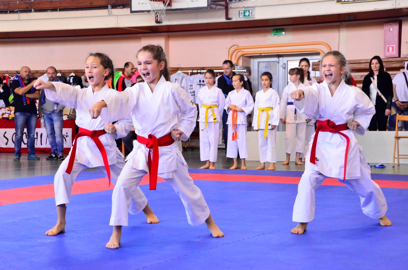 _DSC6813 (Copy) (Copy)