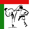 Międzynarodowe turniej karate – Puchar Gór Opawskich